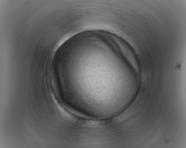 X0000092301521200709281316