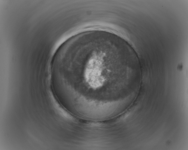 X0000092301522200709281316