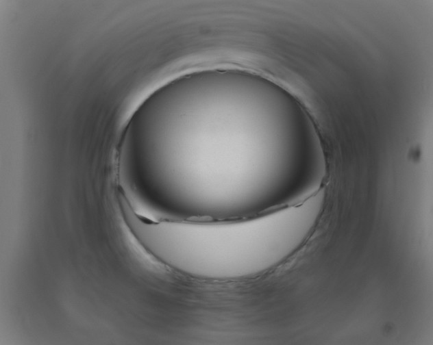X0000092301524200709281316