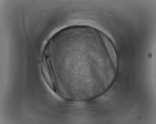 X0000092301525200709281316