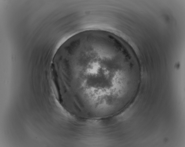 X0000092301529200709281316