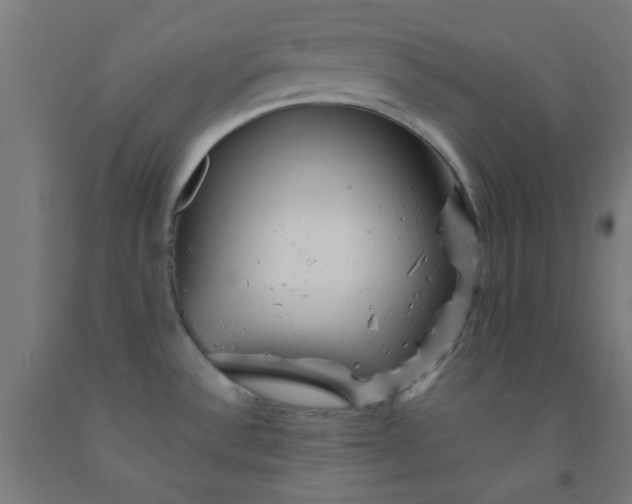 X0000092301532200709281316
