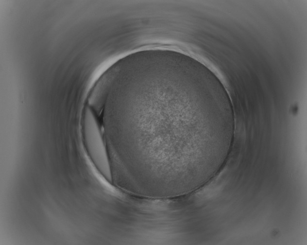 X0000092301533200709281316