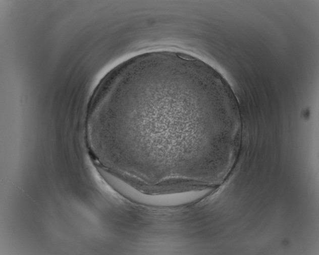 X0000092301534200709281316