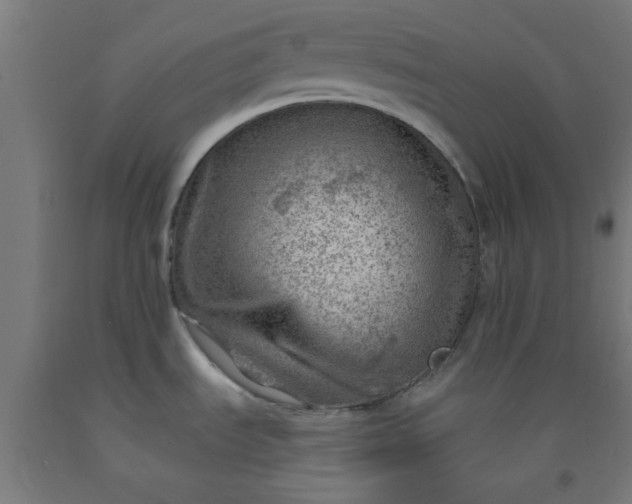X0000092301535200709281316