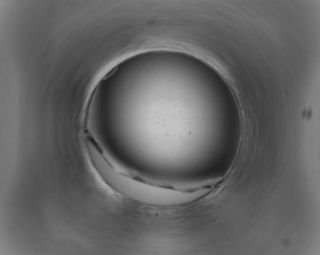 X0000092301536200709281316