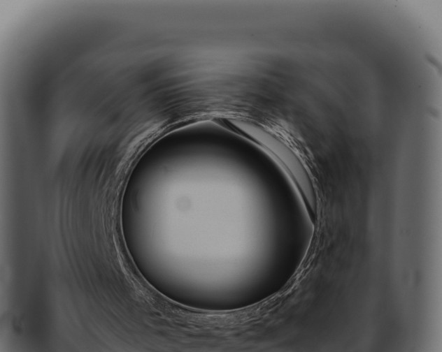 X0000092300001200710041456