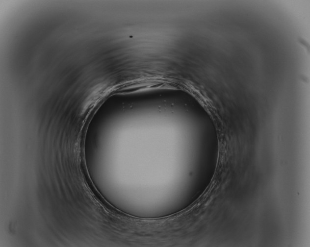 X0000092300002200710041456