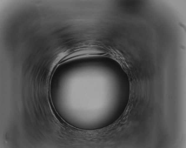 X0000092300003200710041456