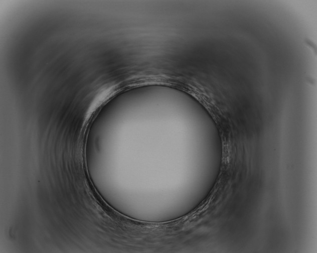 X0000092300004200710041456