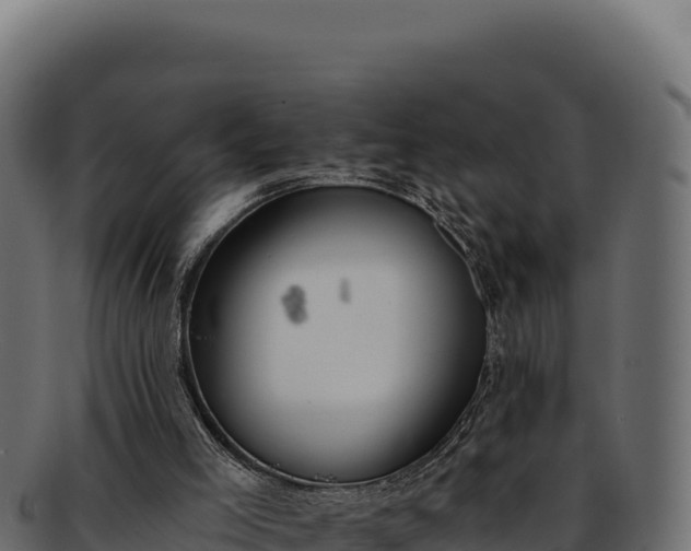 X0000092300005200710041456