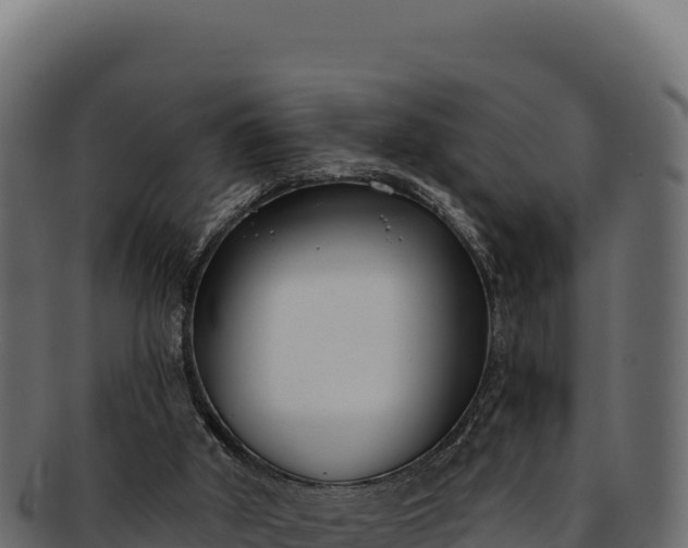 X0000092300010200710041456