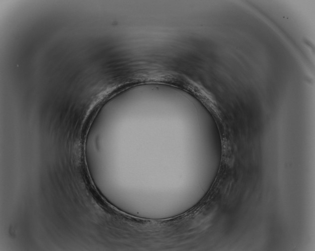 X0000092300012200710041456