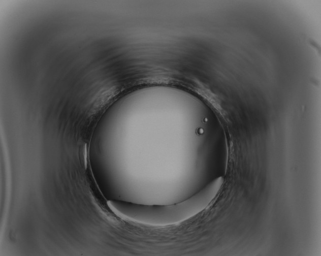 X0000092300013200710041456