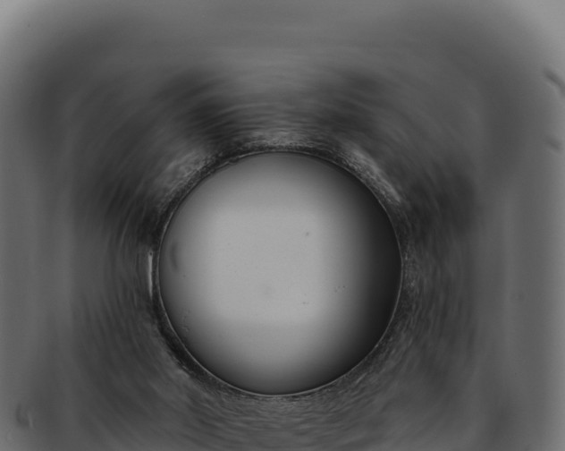 X0000092300014200710041456