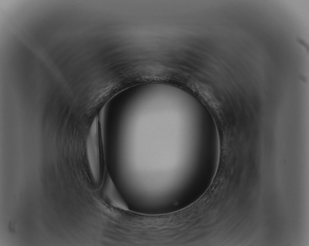 X0000092300017200710041455