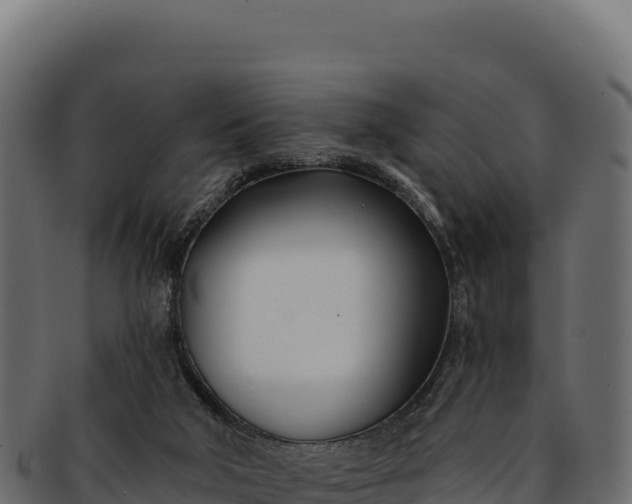 X0000092300018200710041455