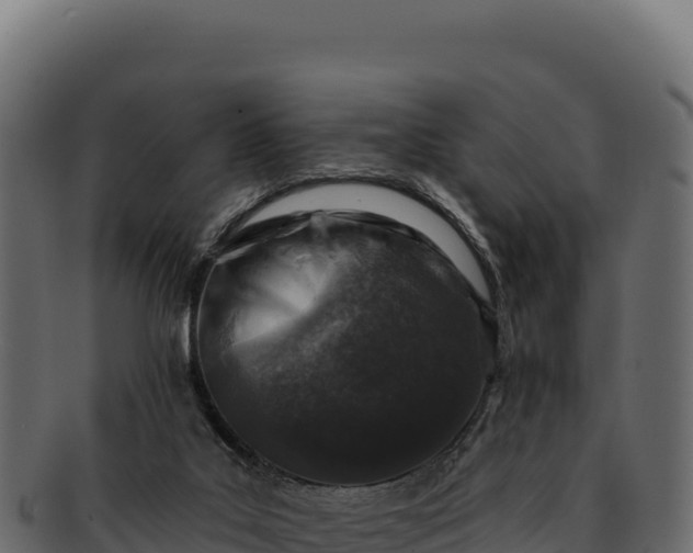 X0000092300019200710041455