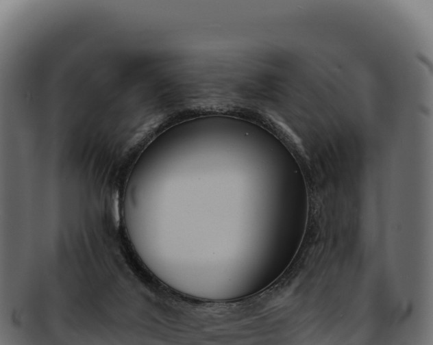 X0000092300020200710041455