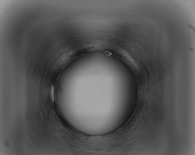 X0000092300022200710041455