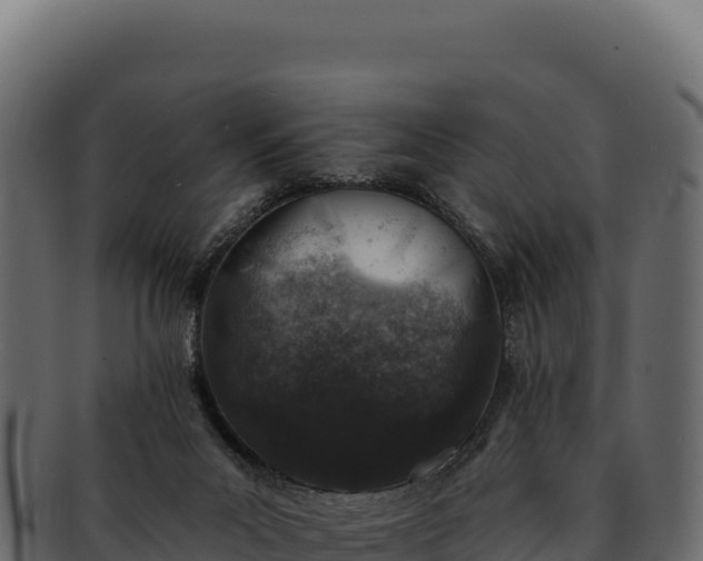 X0000092300023200710041455