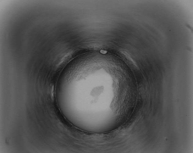 X0000092300024200710041455