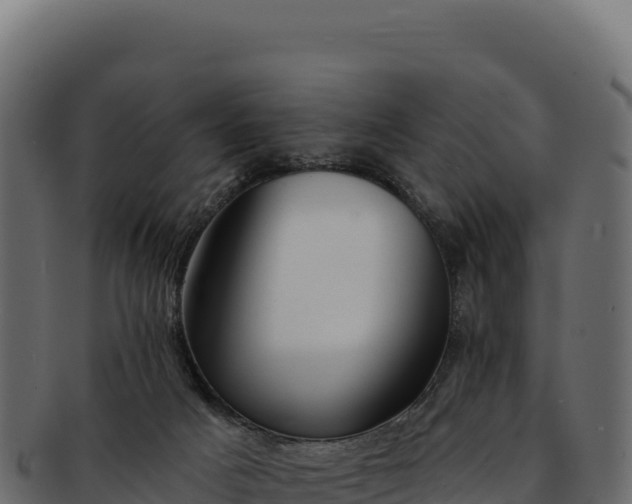 X0000092300025200710041455