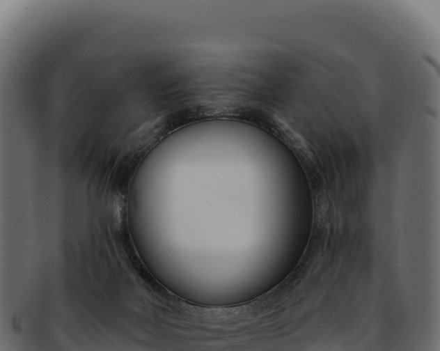 X0000092300026200710041455