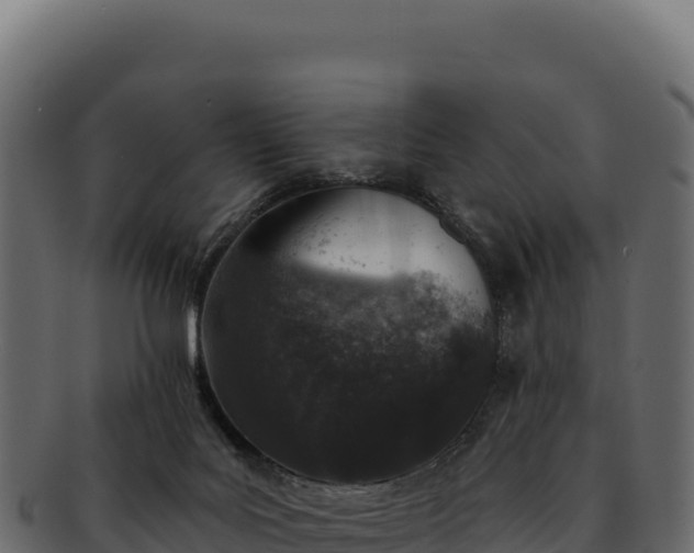 X0000092300027200710041455