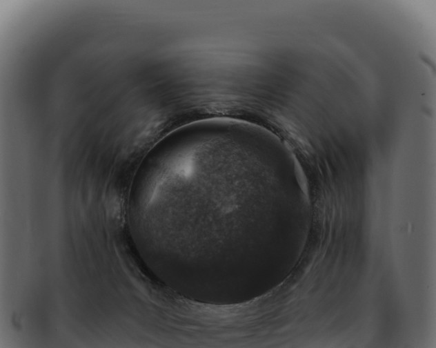 X0000092300031200710041455