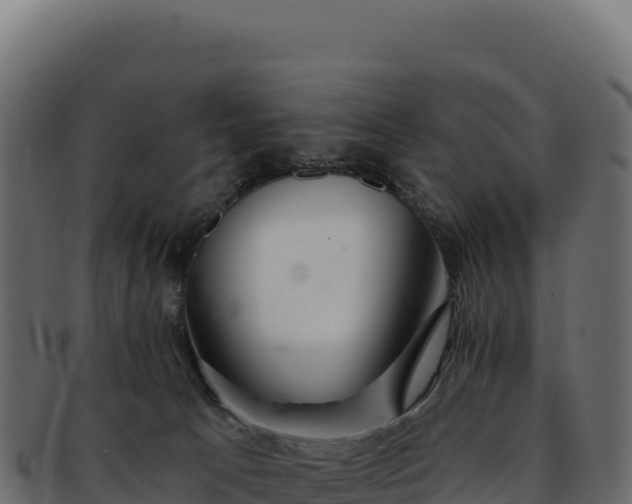 X0000092300033200710041455