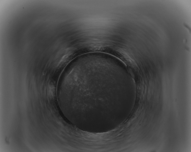 X0000092300035200710041455