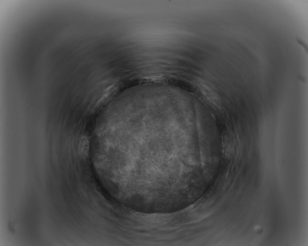 X0000092300036200710041455