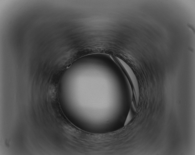 X0000092300037200710041455