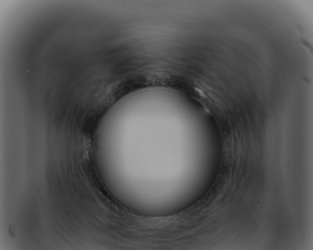 X0000092300038200710041455