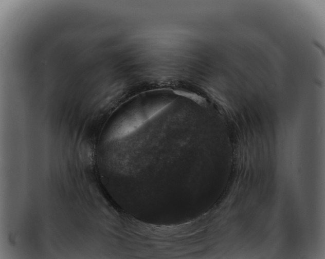 X0000092300039200710041455