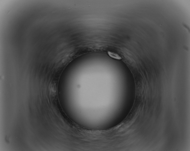 X0000092300040200710041455