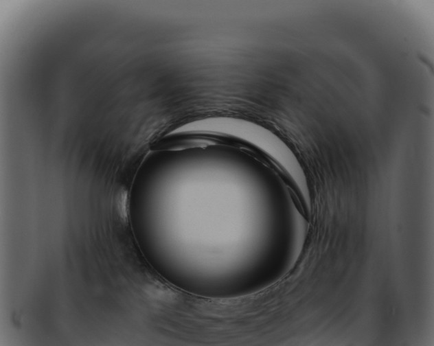 X0000092300041200710041455