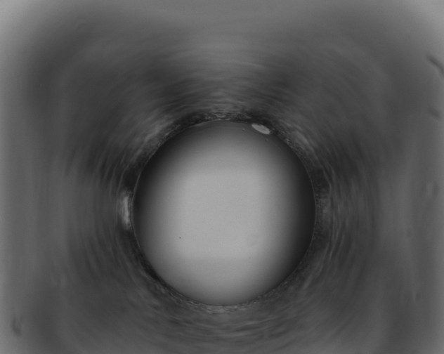 X0000092300042200710041455