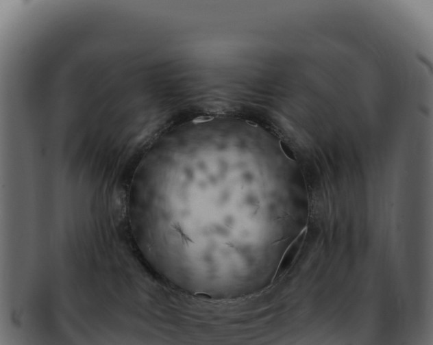 X0000092300043200710041455