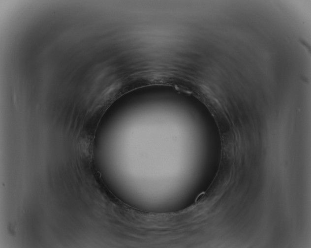 X0000092300044200710041455