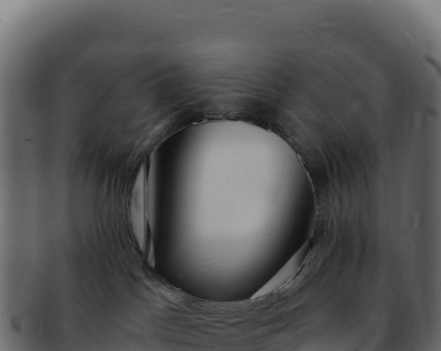 X0000092300045200710041455