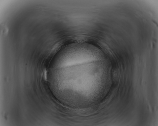 X0000092300046200710041455