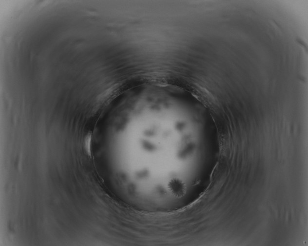 X0000092300047200710041455