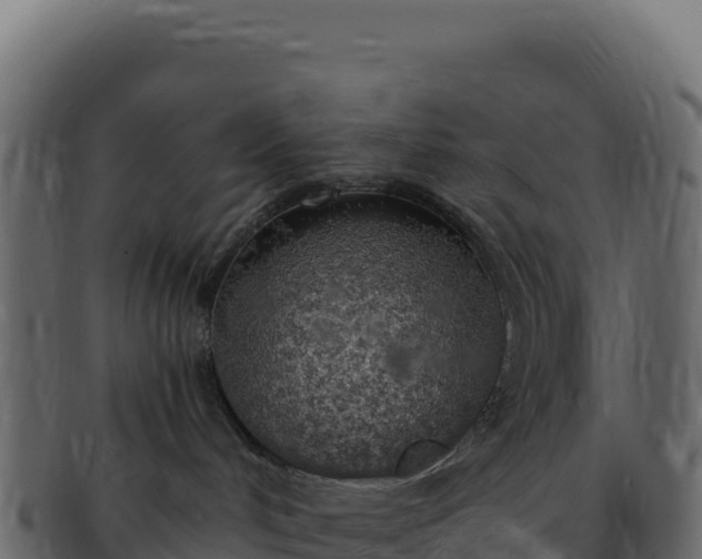 X0000092300048200710041455