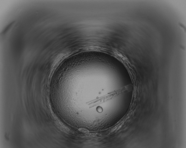 X0000092300049200710041455