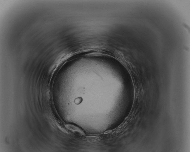 X0000092300050200710041455