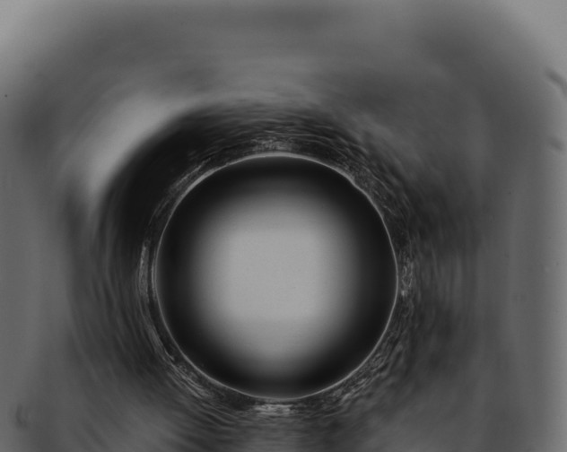 X0000092300052200710041455