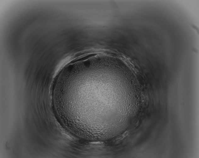 X0000092300053200710041455