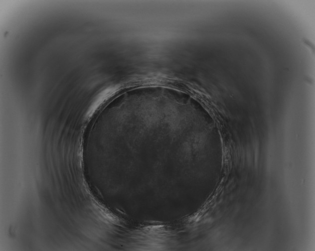 X0000092300054200710041455